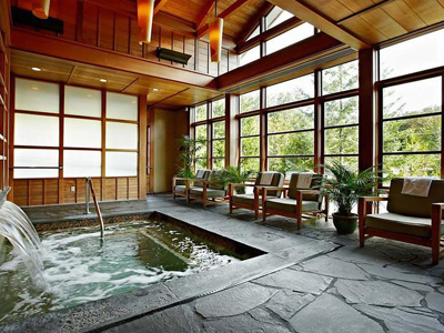 Beauty & Wellness Certification Level 1
